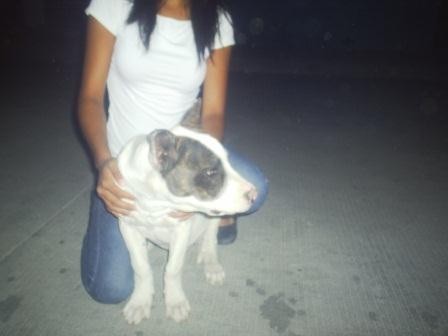 AQUI AQUILES CUANDO TENIA 6 MESES PROMETO SUBIR UNA MAS RECIENTE Y CON MAS CALIDAD AQUI AQUILES CUANDO TENIA 6 MESES PROMETO SUBIR UNA MAS RECIENTE Y CON MAS CALIDAD